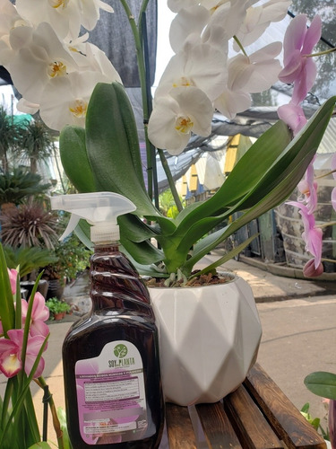 Fertilizante Orgánico Para Orquídeas Y Plantas Exóticas