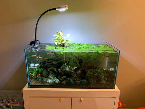 Kit Iluminador Ai Prime Hd + Hms Single Arm - Aquascaping