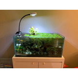 Kit Iluminador Ai Prime Hd + Hms Single Arm - Aquascaping