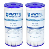 Waterspecialist Filtro De Sedimento Plisado De 10.0 X 4.5 in