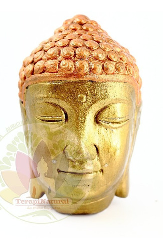 Figura Buda Espiritual Natural Animal || Decoración Hogar