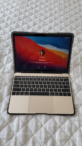 Macbook A1534 2017 Gold