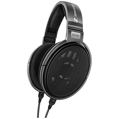 Auriculares Dinámicos Sennheiser Hd 650 Con Parte Trasera Ab