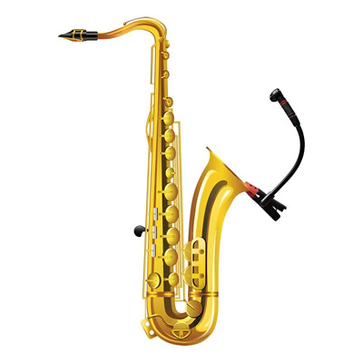 Alctron Micrófono Condensador Par Saxofón, Trompeta, Trombon | MercadoLibre