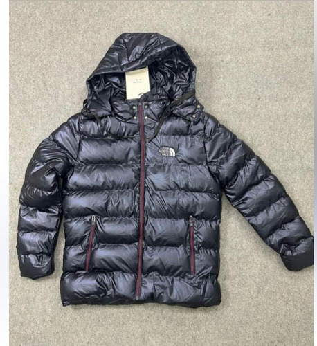 Campera Puffer The North Face