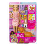 Muñeca Barbie Sisters & Pets Cachorros Recién Nacidos Mattel