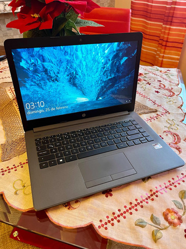Laptop Hp 245 G7 Ryzen 3 8gb 1tb Hdd 14  Led Windows 10