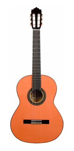 Guitarra Electroacustica Clasica Roger De Luria Rdl39