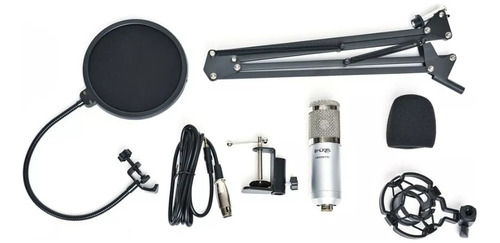 Kit Microfono Condenser Hügel Soporte Filtro Y Phantom Power
