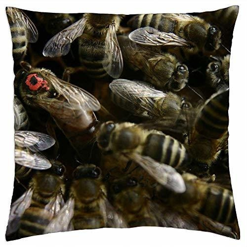 Funda Cojín  Reina Abeja  16x16 - Lesgaulest