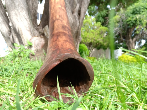 Didgeridoo De Agave 