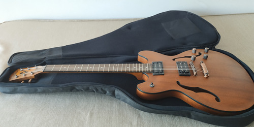 Guitarra Semi-hollow Washburn Hb-32dm Con Funda - Impecable