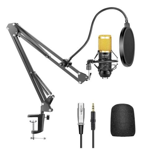 Kit De Microfono Profesional Neewer Nw-800 Soporte