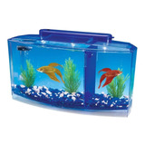 Pecera Para Bettas Penn Plax Con 3 Divisiones Y Luz