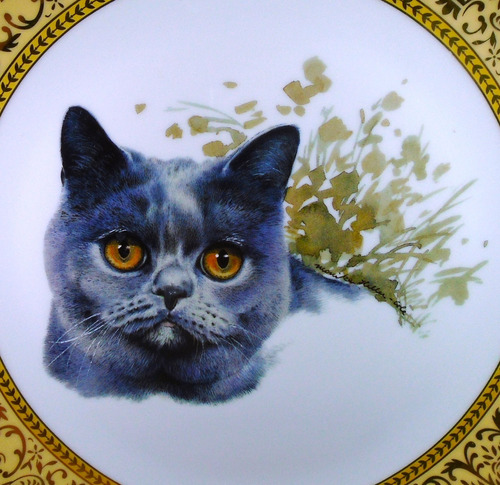 Plato Porcelana Con Pintura Gato 27 Cm Vintage Sin Uso