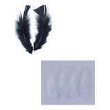 Pack Plumas Ave Manualidades 10 A 17 Cms 24 Piezas