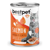 Display Lata Humedos Bestpet Cat Trozos De Salmon 12 X 400 G