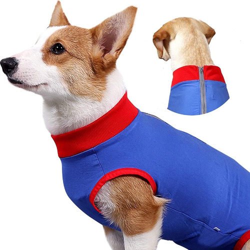 Traje De Recuperación De Cirugía Para Perros, Traje