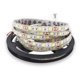 Tira Luces Led Blanco Frio Calido Exterior X 5 Mt 5050