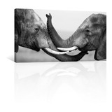 Cuadro Decorativo Canvas Animales Elefante Hermanos