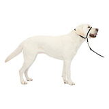 Collar De Cabeza Petsafe Gentle Leader No-pull Para Perro, N