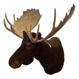 Animales Disecados 100% Artificiales Alce (moose)