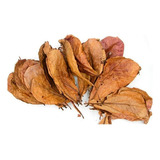 Hojas De Almendro 12 Unds Purificador Natural De Agua Y Ph