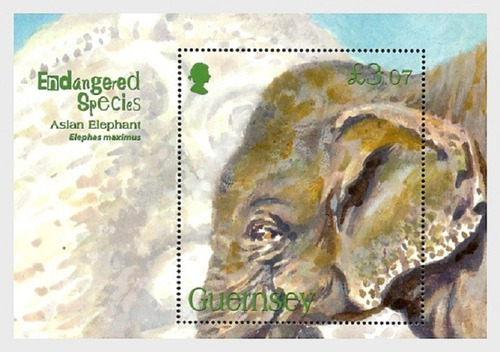 2010 Fauna En Peligro- Elefante - Guernsey (bloque) Mint