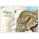 2010 Fauna En Peligro- Elefante - Guernsey (bloque) Mint