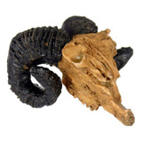 Modelo De Cráneo Ornamento De Cabra Adorno Terrarios