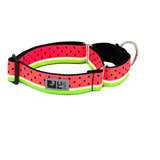 Collar De Adiestramiento Para Perros Rc Pets Martingale De 1