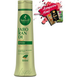 Haskell Jaborandi Shampoo Anti Caspa E Oleosidade 500ml 