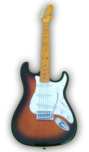Guitarra Electrica Stratocaster Tyler St-38 Envios!