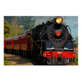 Vinilo 80x120cm Locomotora Trenes Ferrovias Anden Viaje P3