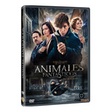 Animales Fantasticos Y Donde Encontrarlos Pelicula Dvd