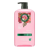 Shampoo Petalos De Rosa Herbal Essences Smooth Rose 865ml