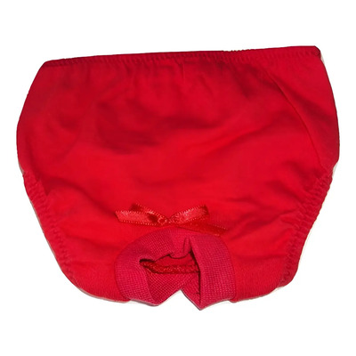 Calcinha Higiênica Raças Pequenas Roupa Pet Cães E Gatos