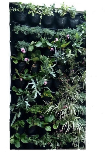 Jardín Vertical Panel 1m X 1m (25 Bolsillos)