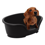 Cama Cucha Moises Gatos Perros Chicos Importada 40cm Nuevo