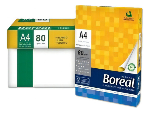 Kit 10 Resmas A4 Boreal 80 Gramos Papel Blanco Caja X10 U