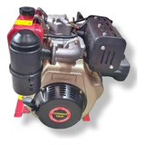 Potente Motor Diesel 10hp Caballos 