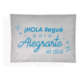 Bolsa Ecommerce Hola Llegue! Con Adhesivo 20x30 X100u