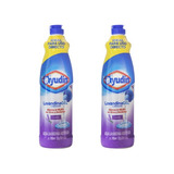 Lavandina En Gel Uso Directo Lavanda Ayudín 700ml Pack X2u