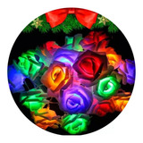 Guirnalda Luces Led Rosas Blancas 2.5 Metros Pilas Navidad