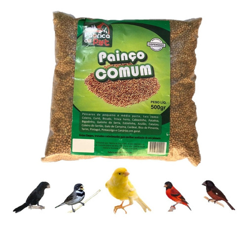 Sementes Painço Comum - 500g Sementes Pássaros Aves