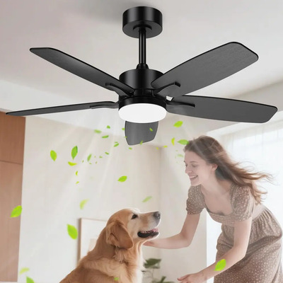Airwit Ventiladore De Techo, Lámpara Ventilador De Techo 42 Pulgadas\u002F107 Cm, Abanico De Techo Silenciosos Con Control Remoto Y Luz Led Para El Hogar, 6 Velocidades, Motor De Cc Reversible, Negro | Meses sin interés