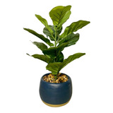 Ficus Lyrata Con Macetero - Planta Artificial Decorativa