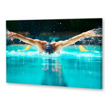 Cuadro 50x75cm Natacion Deporte Acuatico Pileta Piscina M5