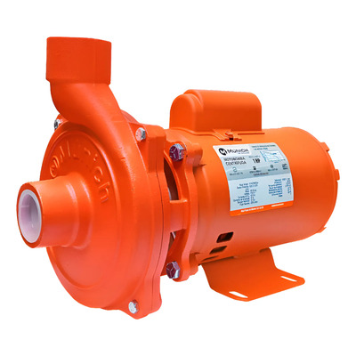 Bomba Eléctrica Centrífuga 1 Hp Impulsor Noryl Munich Mot1-2 | Envío gratis