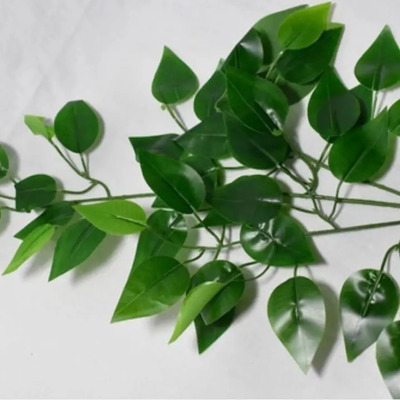 5 Varas De Hojas De Ficus Artificiales. | MercadoLibre